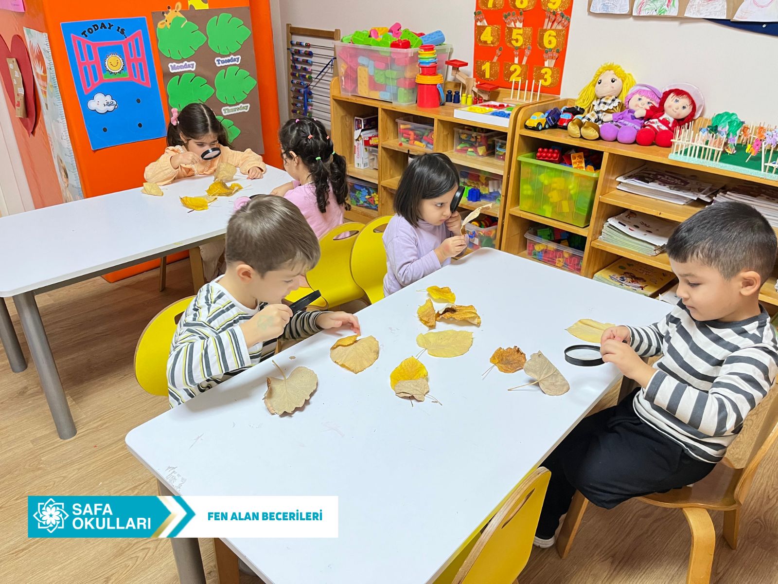 FEN ALAN BECERİLERİ