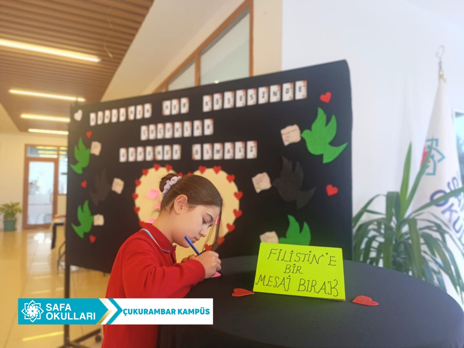 WhatsApp Image 2025-12-17 at 12.31.45 (1)