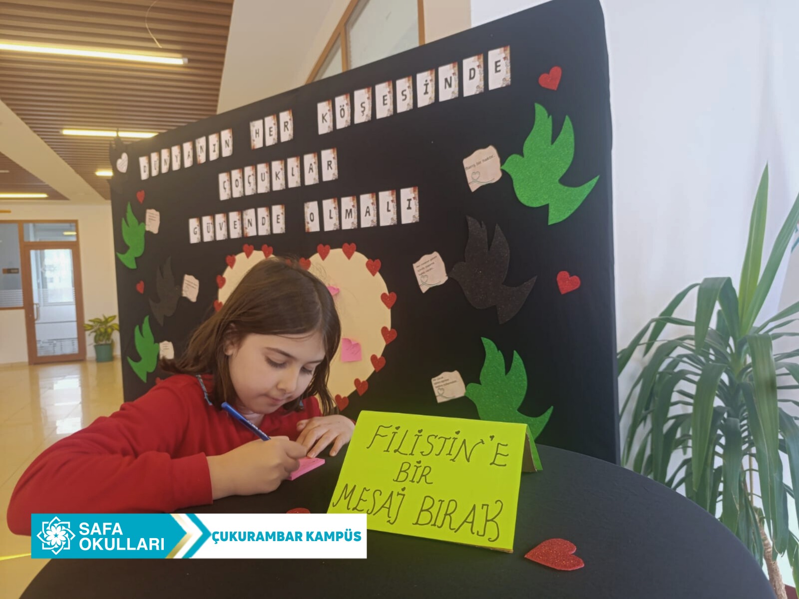 WhatsApp Image 2025-12-17 at 12.31.45